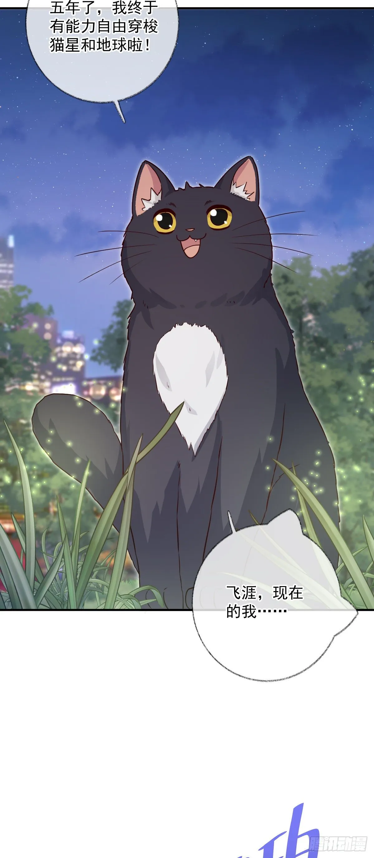 完结：一如初见喵~ 第15页