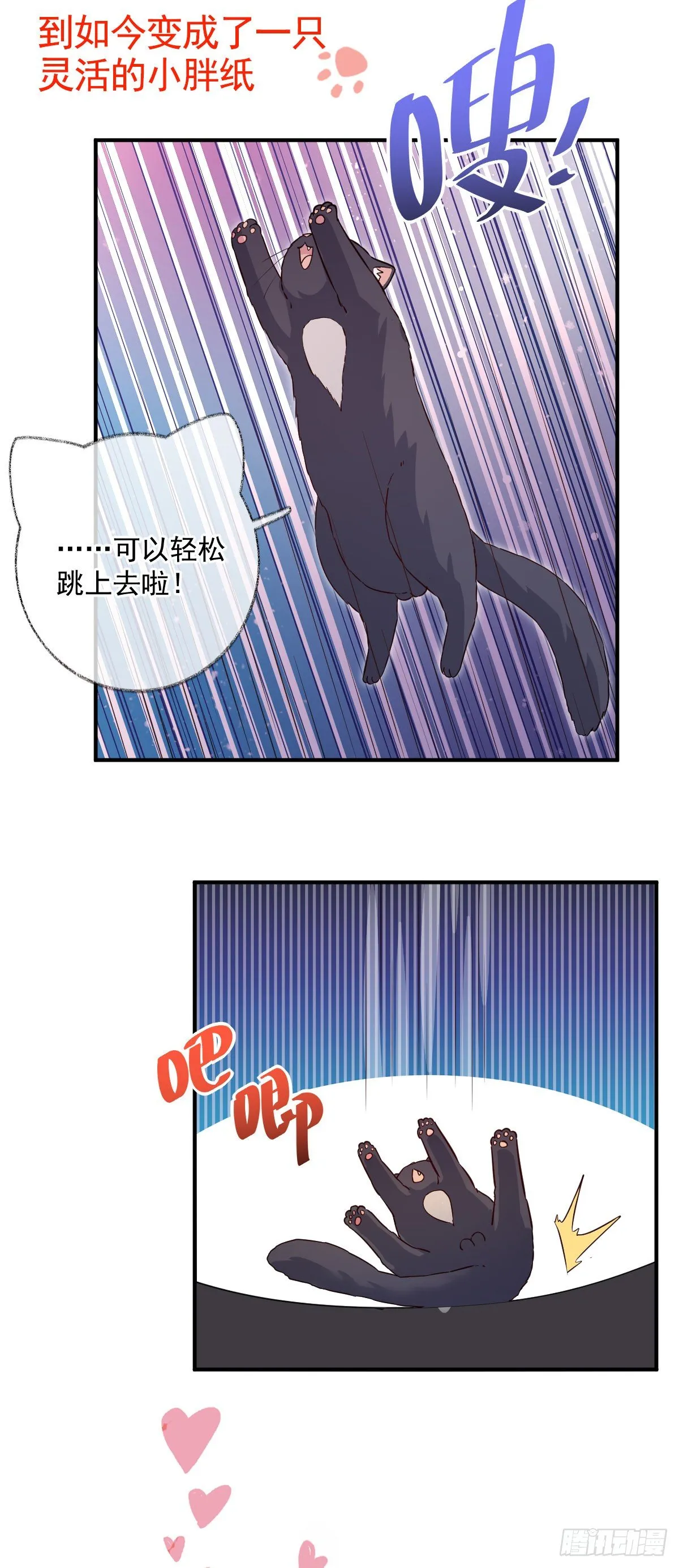 完结：一如初见喵~ 第24页