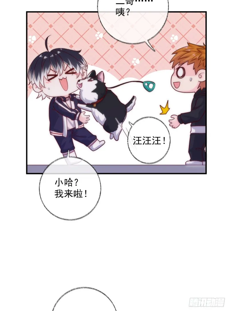 最后一根稻草喵~ 第7页