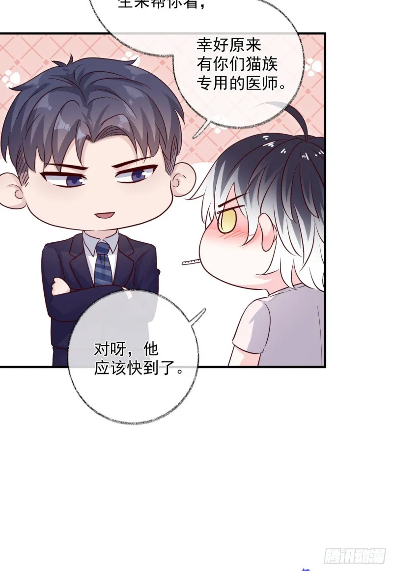 生病了喵~ 第21页
