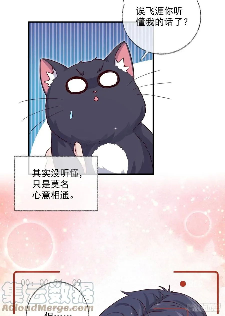 你我的见证喵~ 第27页