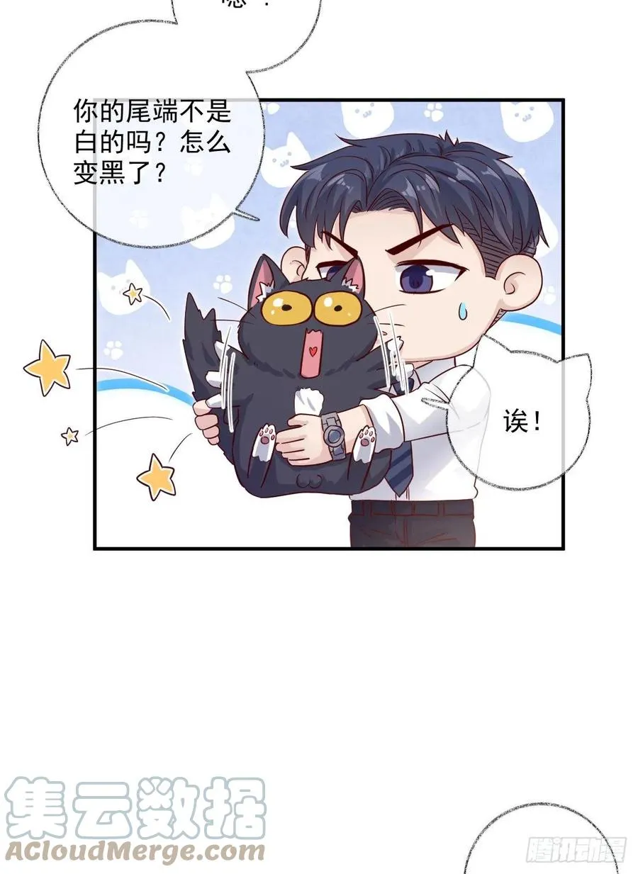你我的见证喵~ 第29页