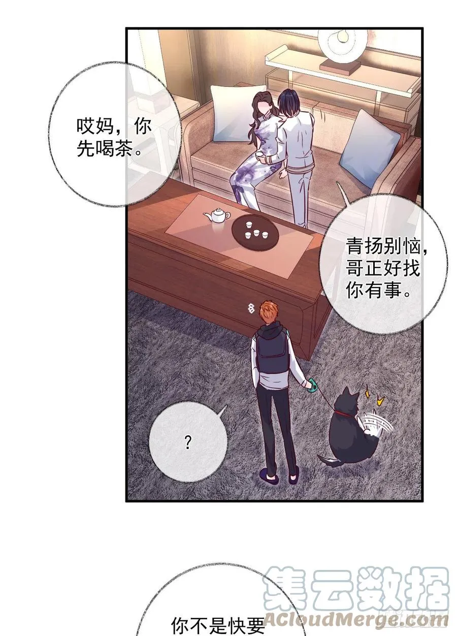 林总上任喵～ 第31页