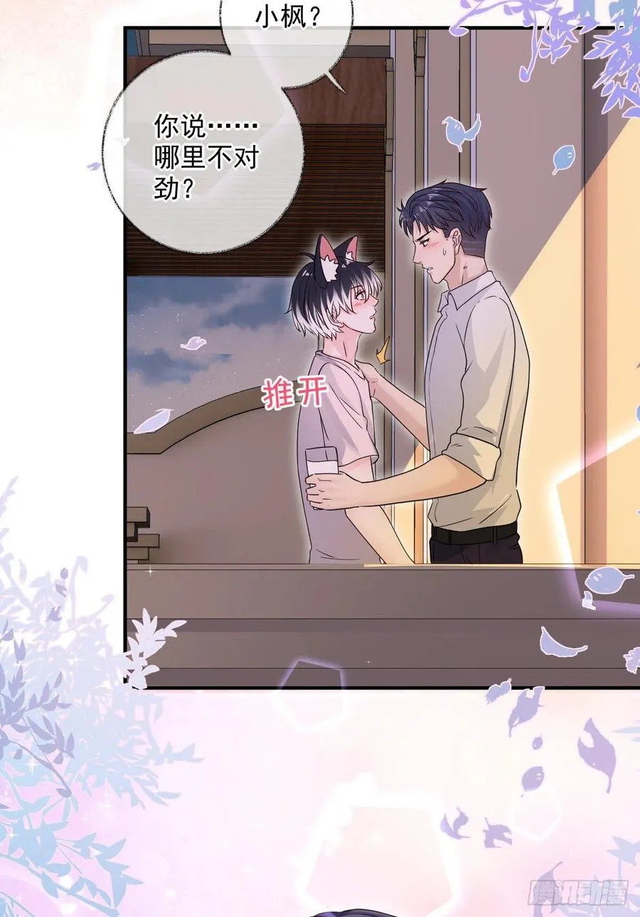 一晚上的事喵~ 第4页