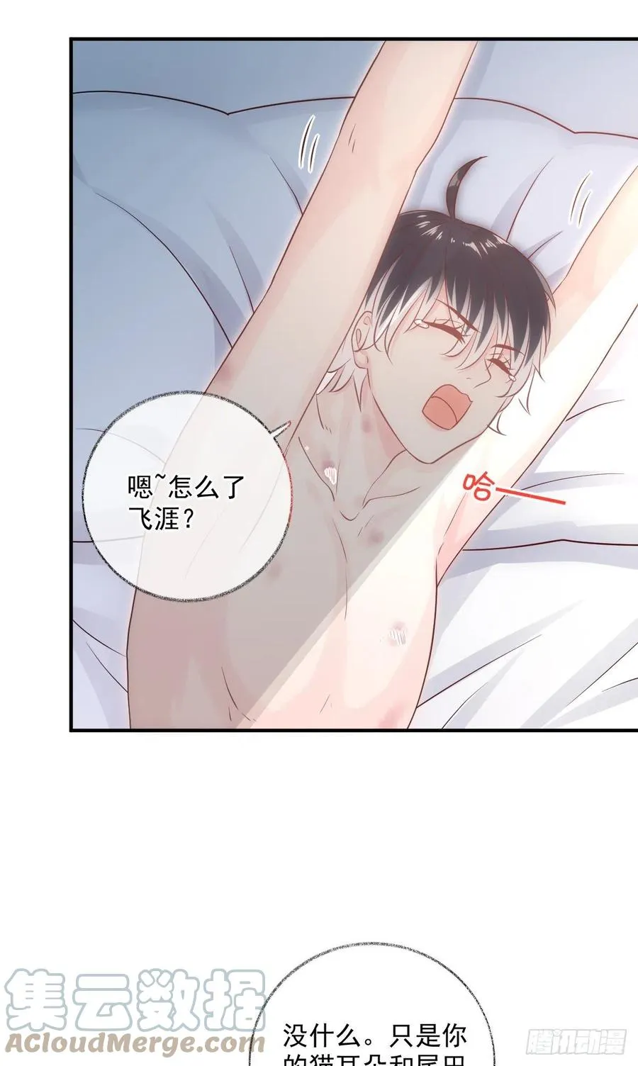 一晚上的事喵~ 第23页