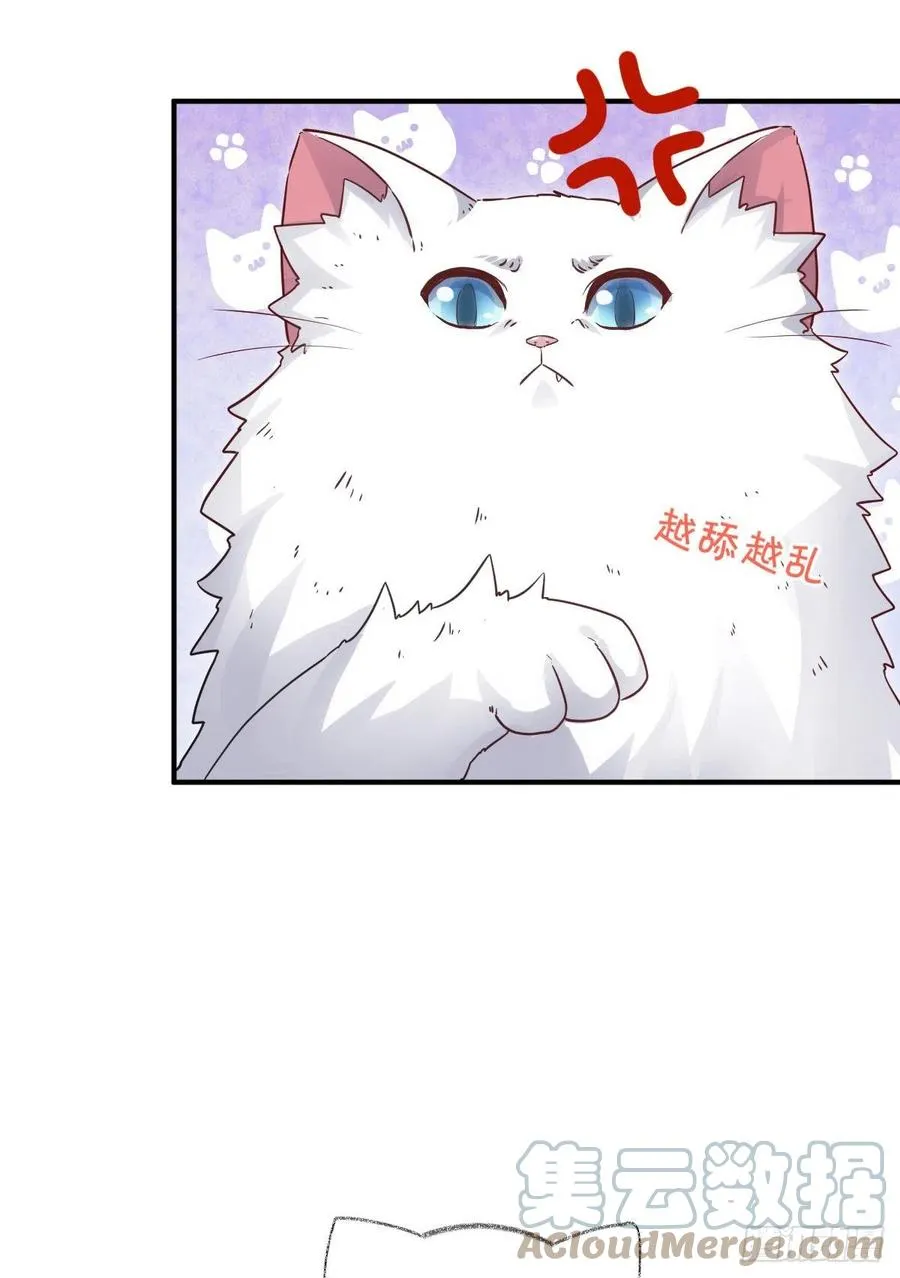 还是我不对劲喵~ 第3页