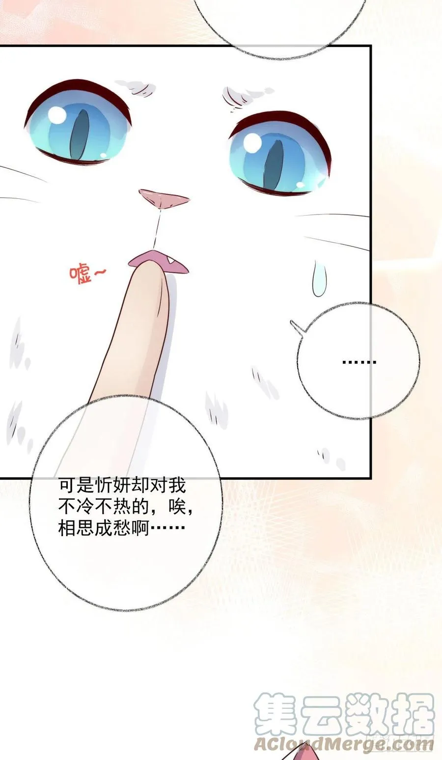 还是我不对劲喵~ 第13页