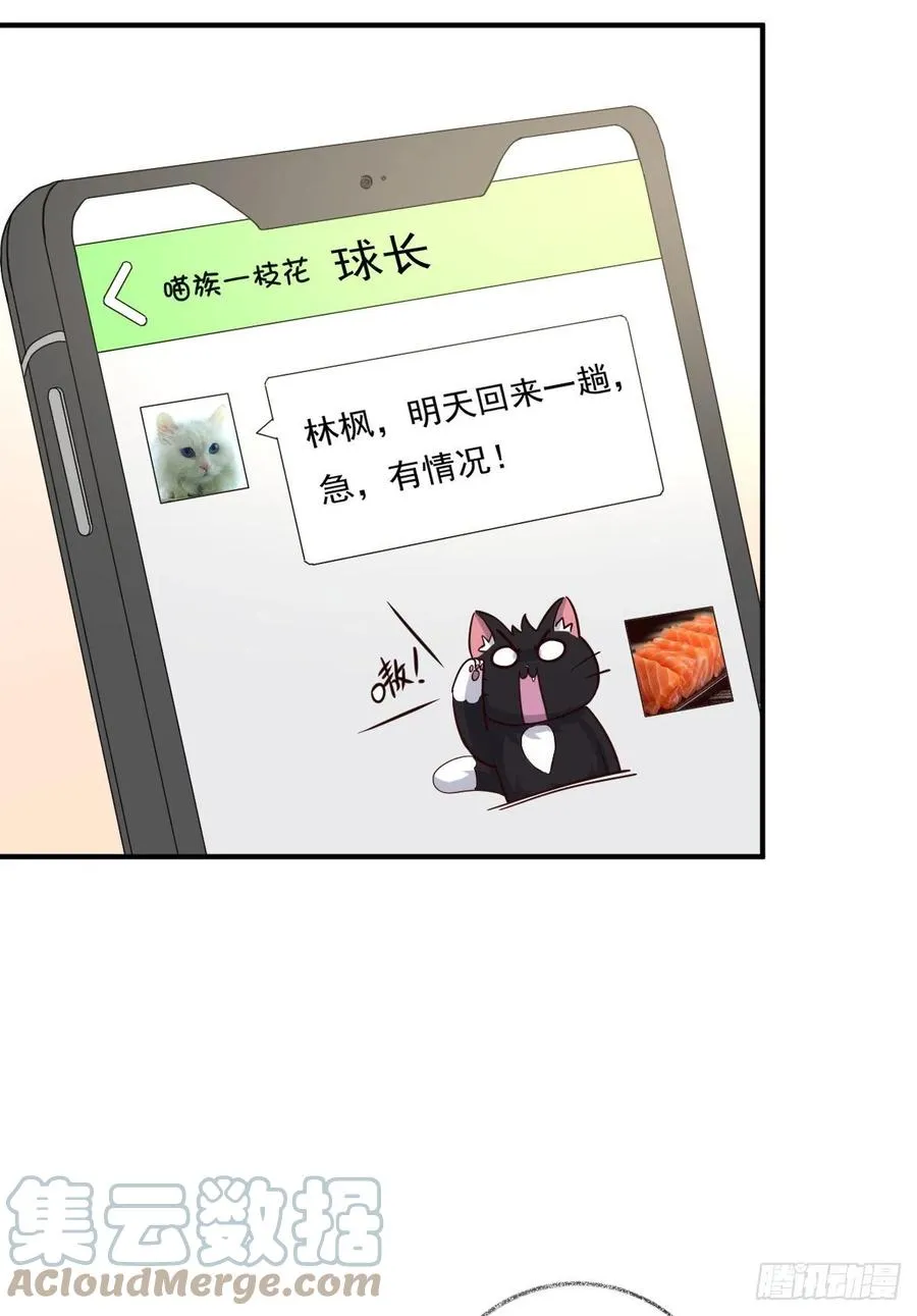 有我在不孤单喵~ 第27页
