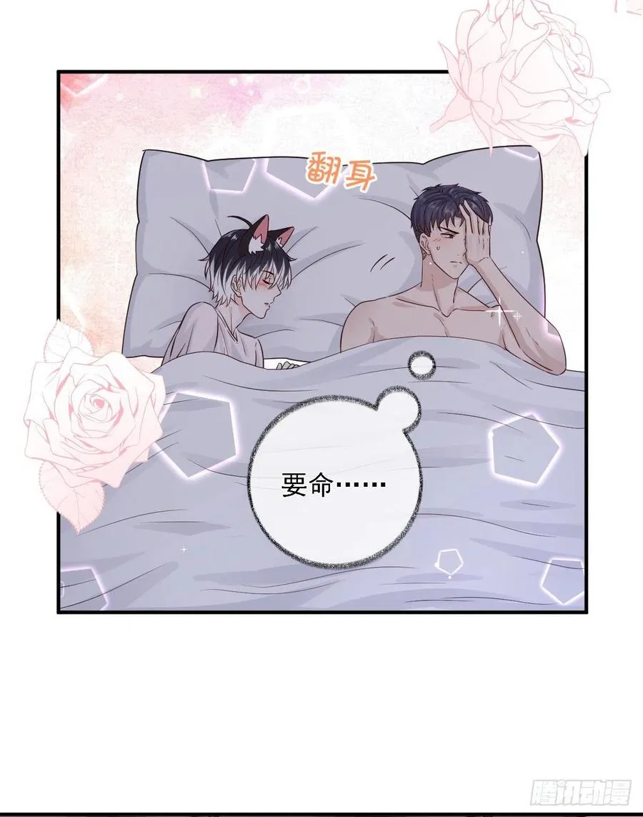 恋爱烦恼喵~ 第6页