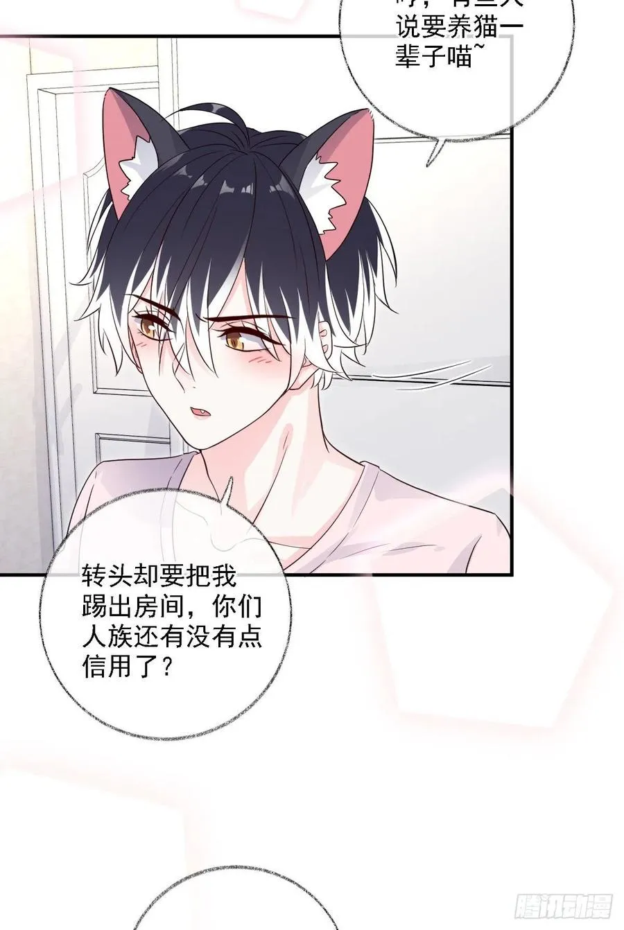谁更危险喵~ 第26页