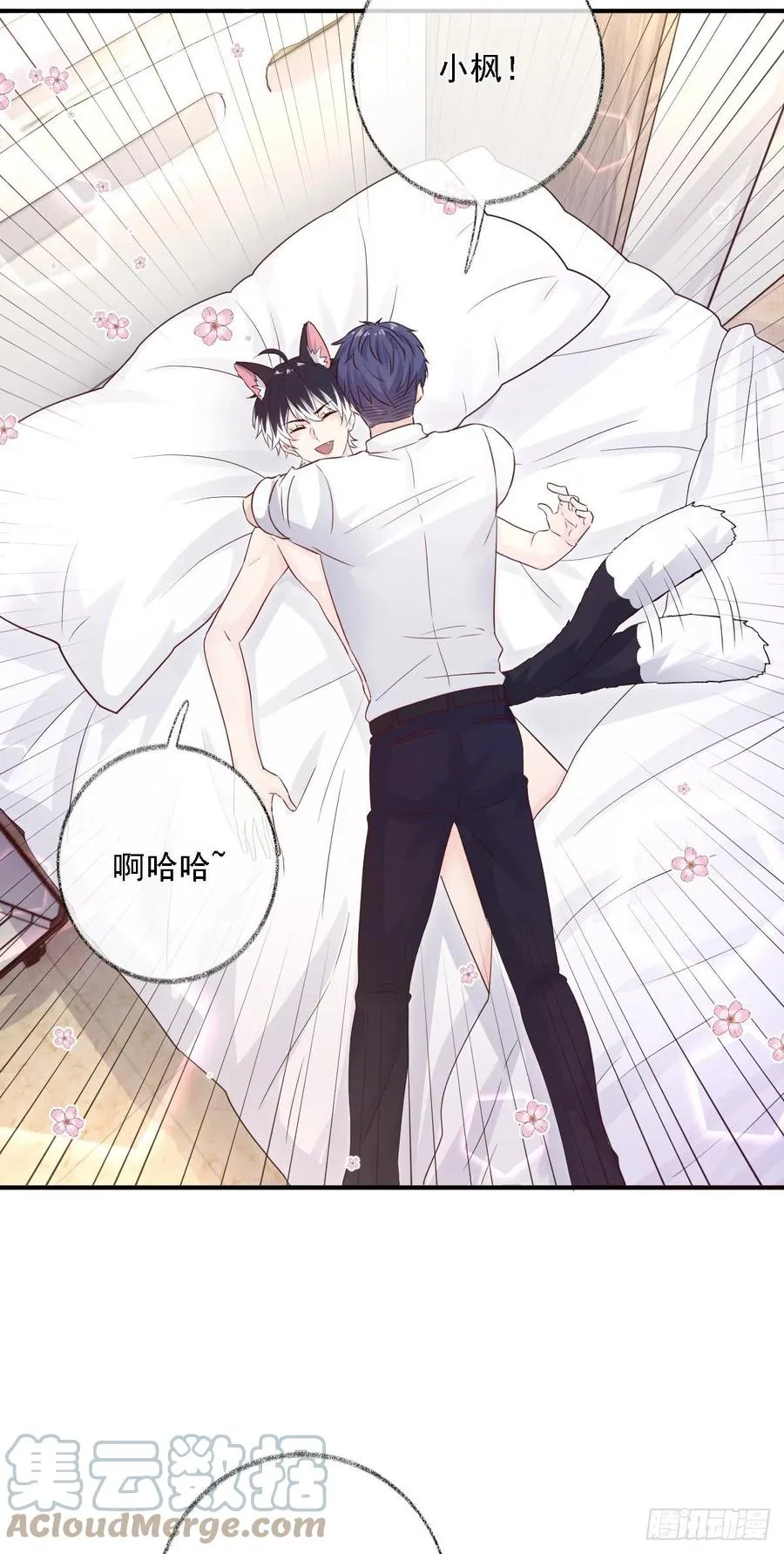 猫耳少年喵~ 第23页