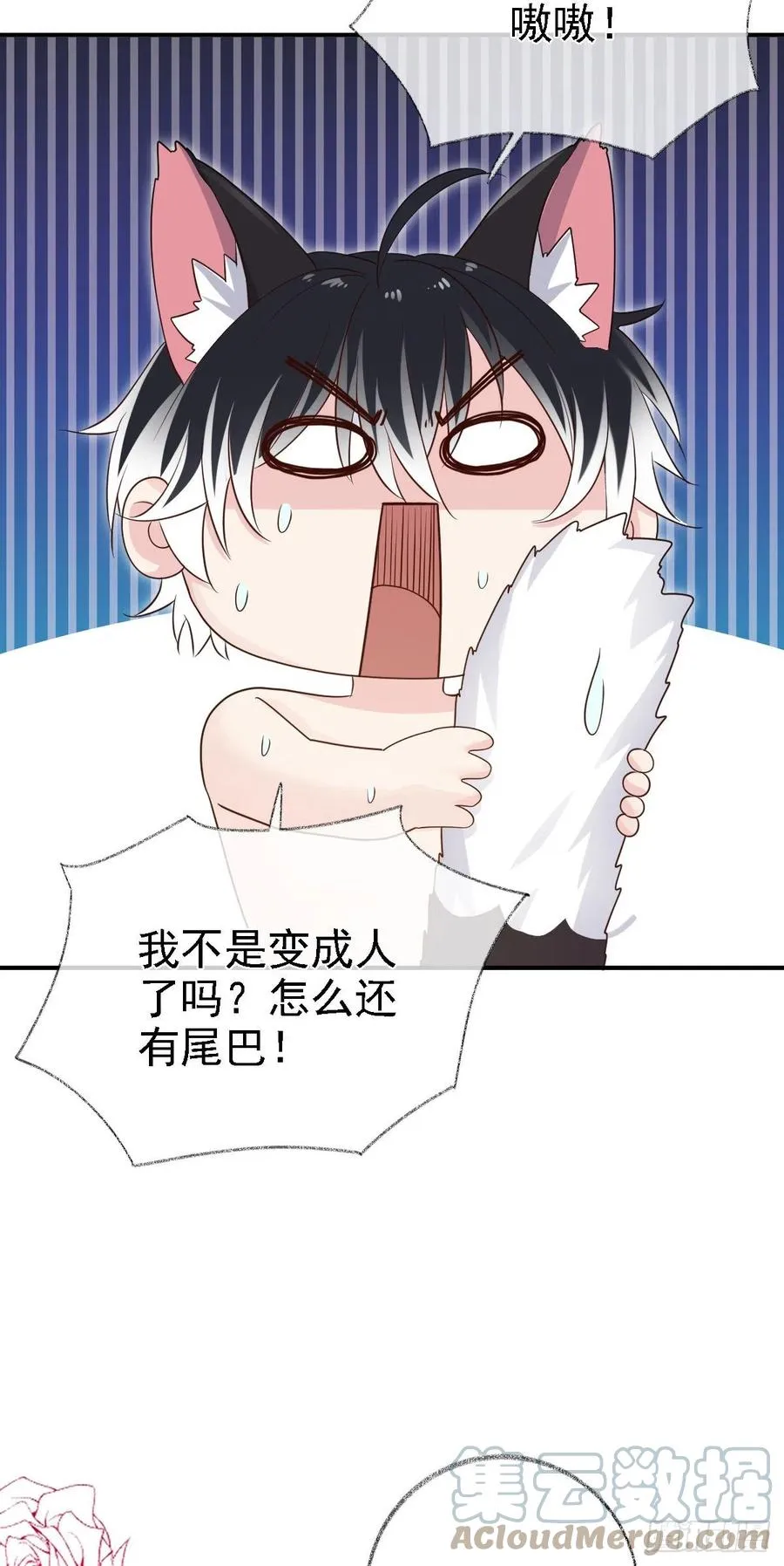 猫耳少年喵~ 第27页