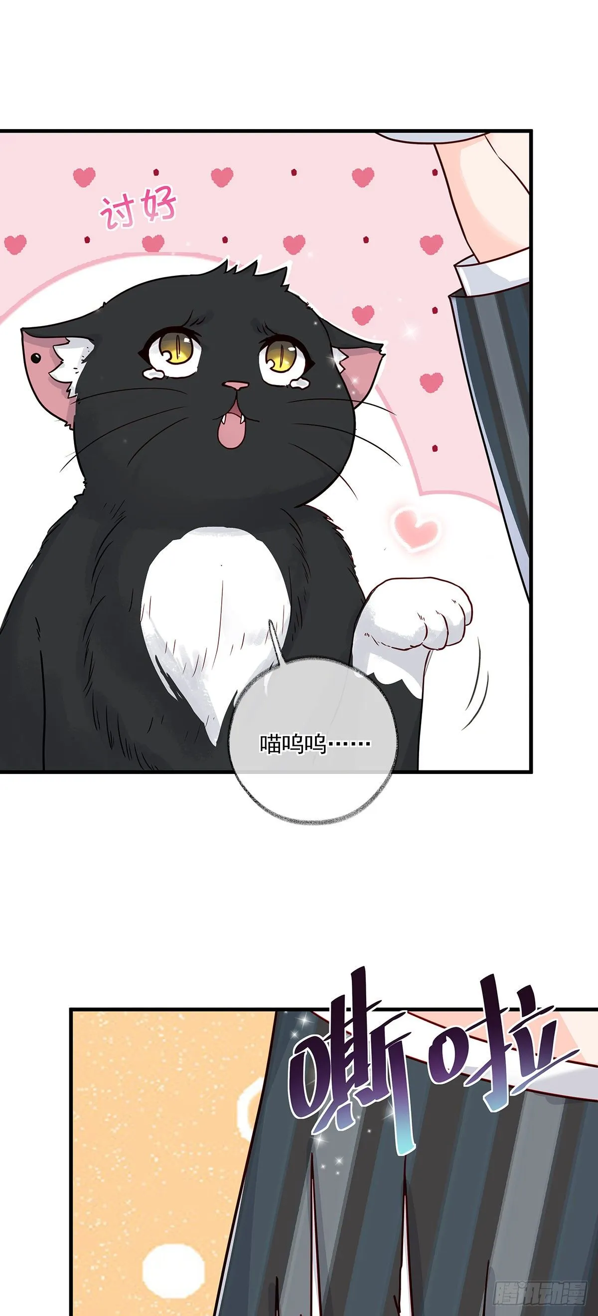 报恩是什么喵~ 第17页