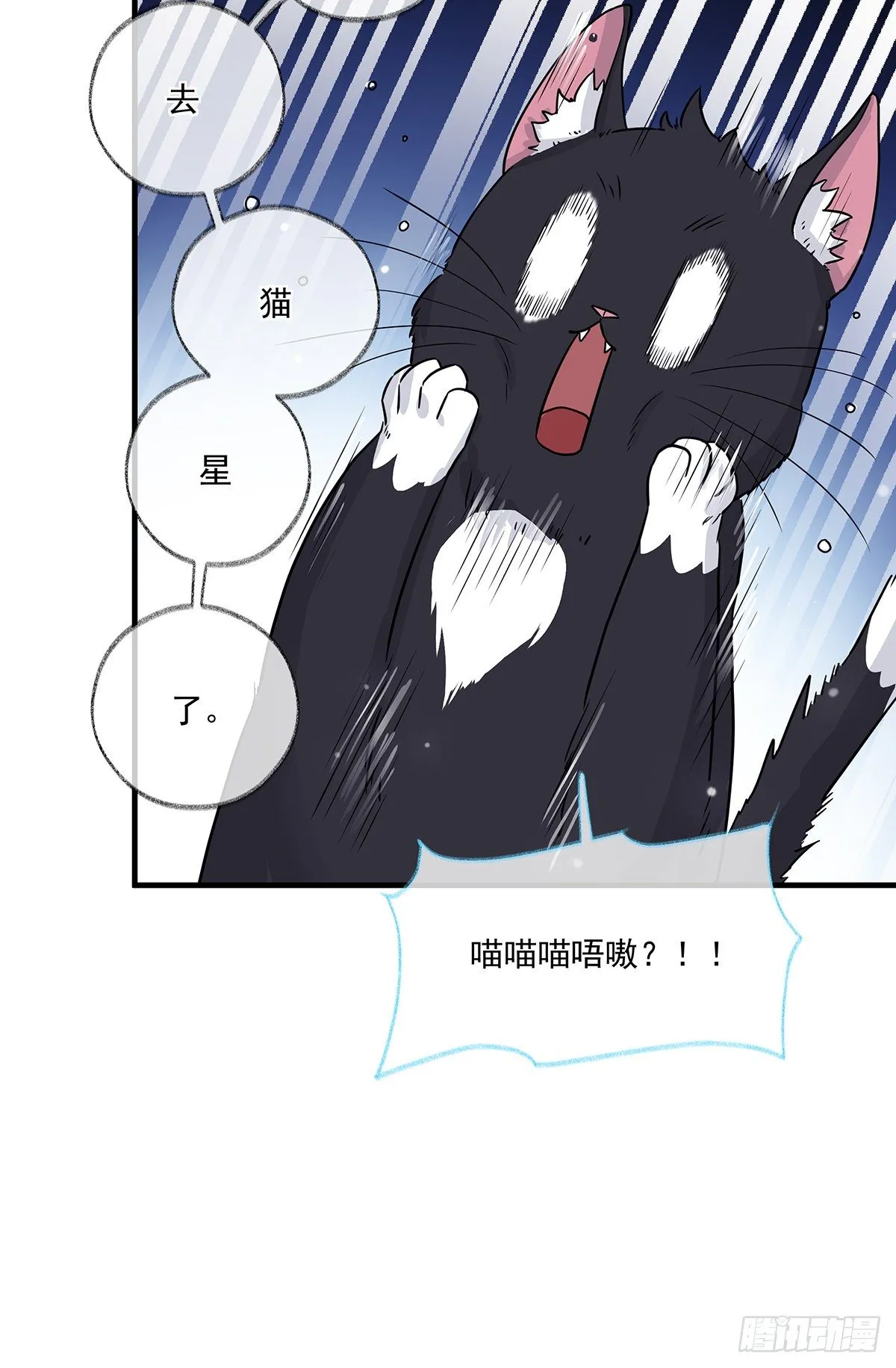 报恩是什么喵~ 第28页