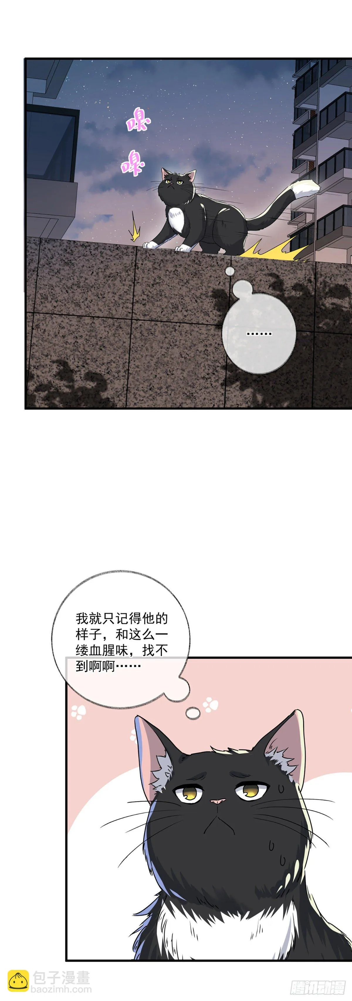 恩人你在哪里呀喵~ 第19页