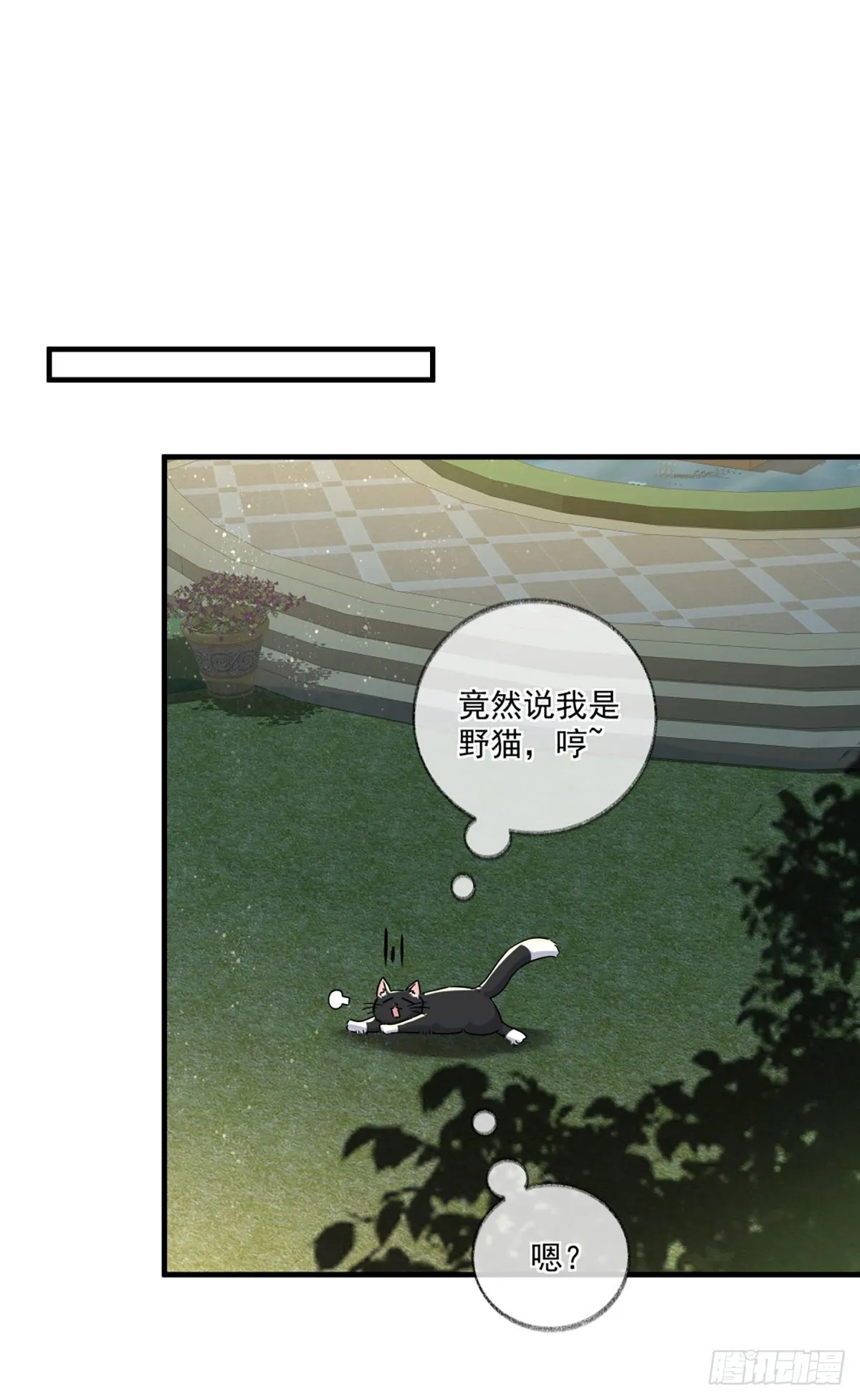 恩人你在哪里呀喵~ 第23页