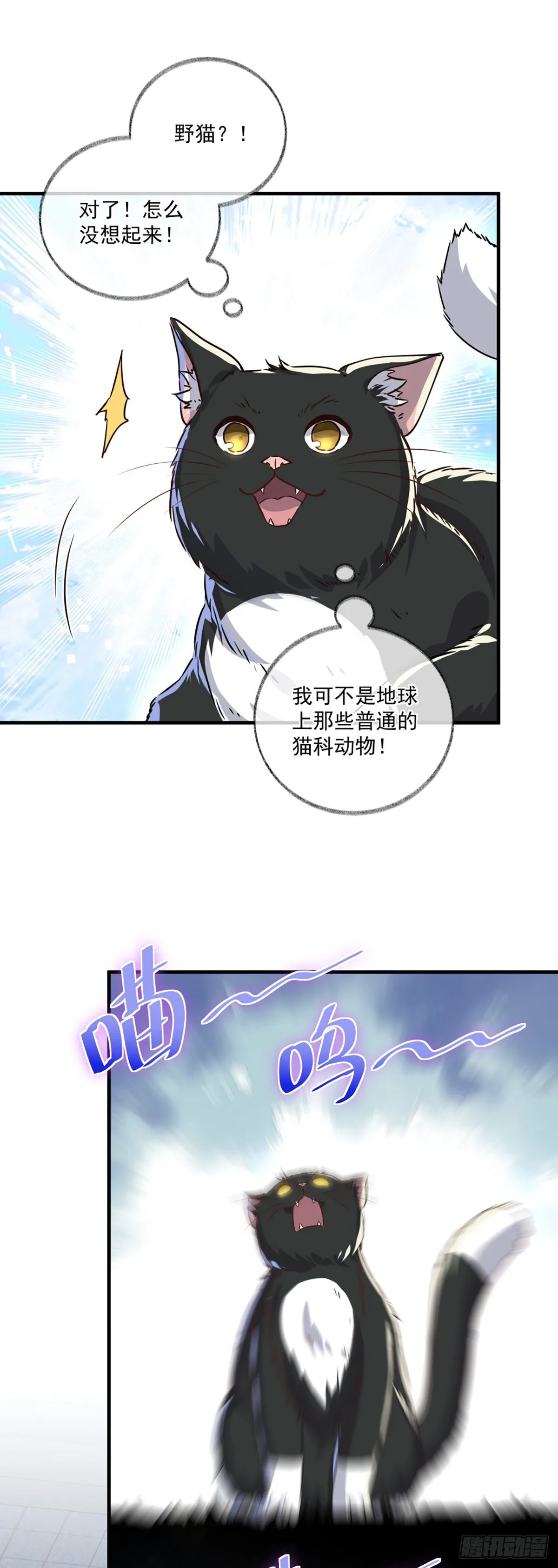 恩人你在哪里呀喵~ 第24页