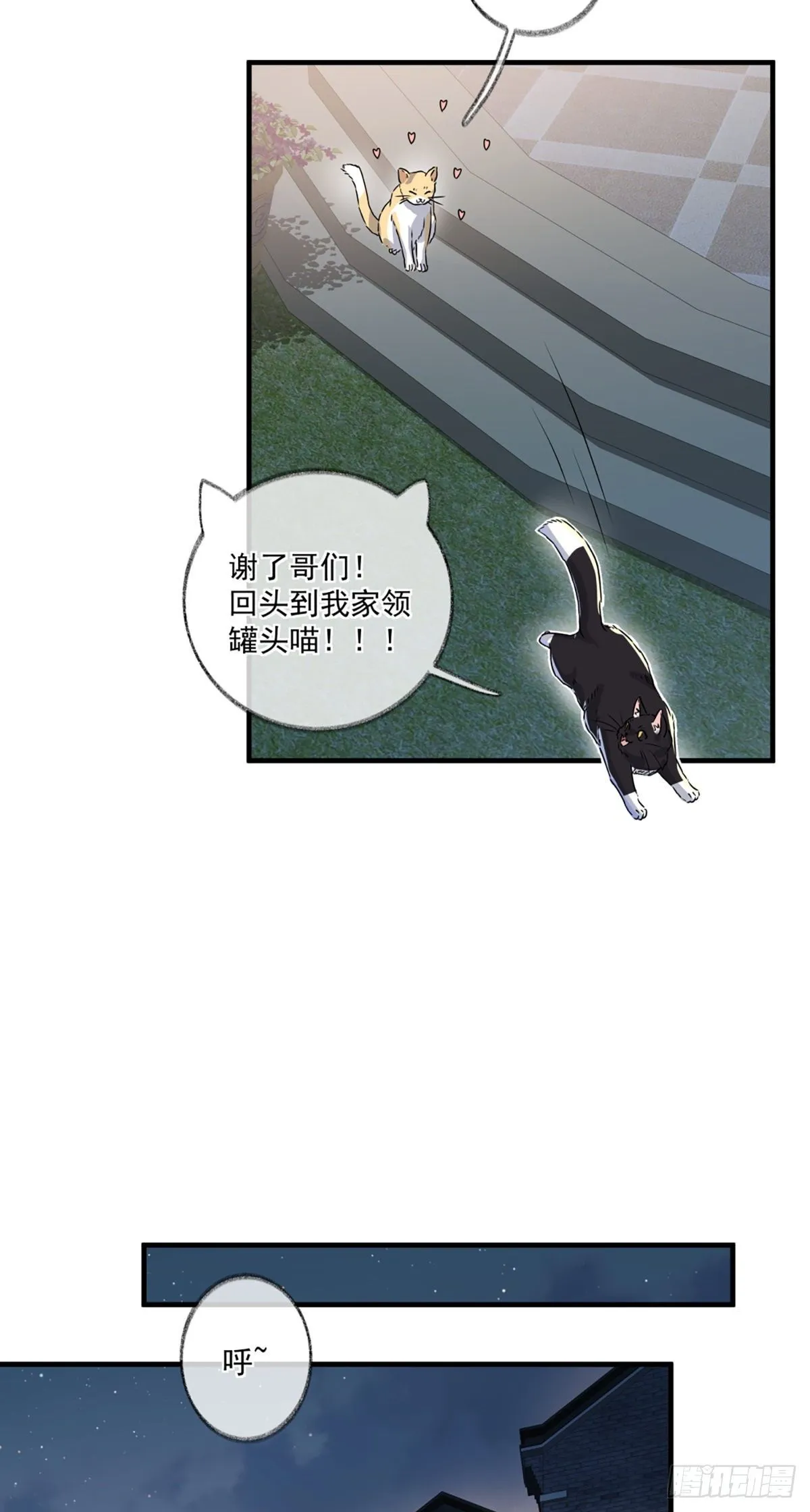 恩人你在哪里呀喵~ 第38页