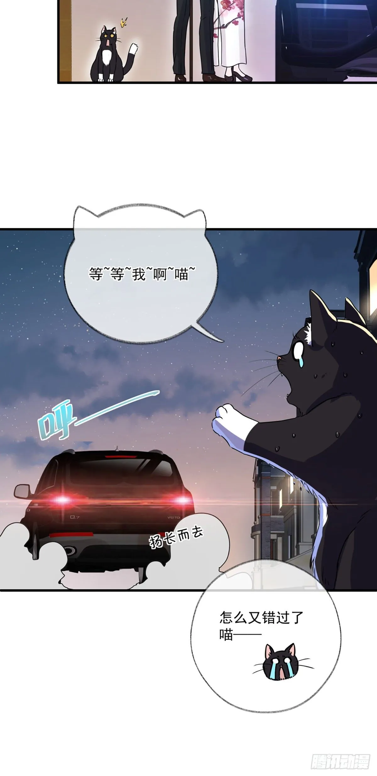 恩人你在哪里呀喵~ 第40页