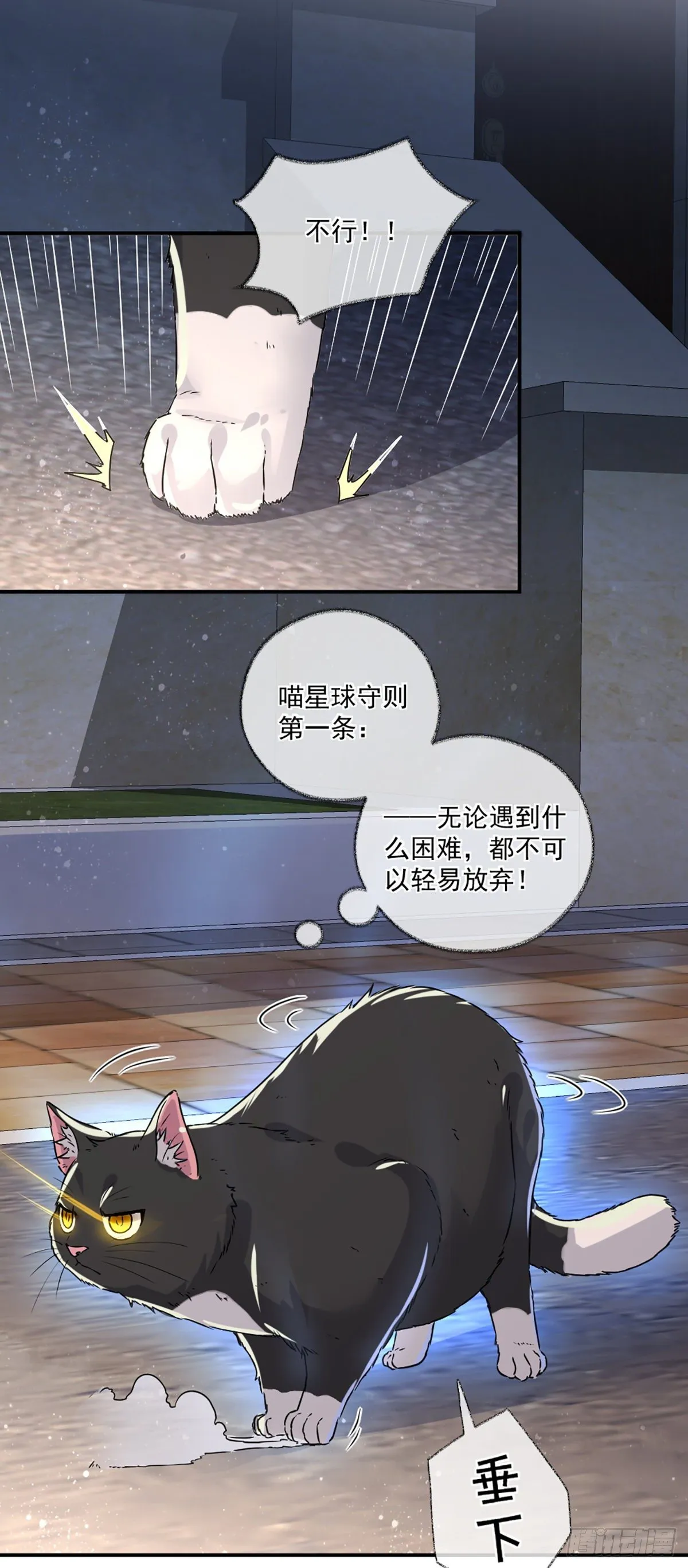速度与激情喵~ 第3页