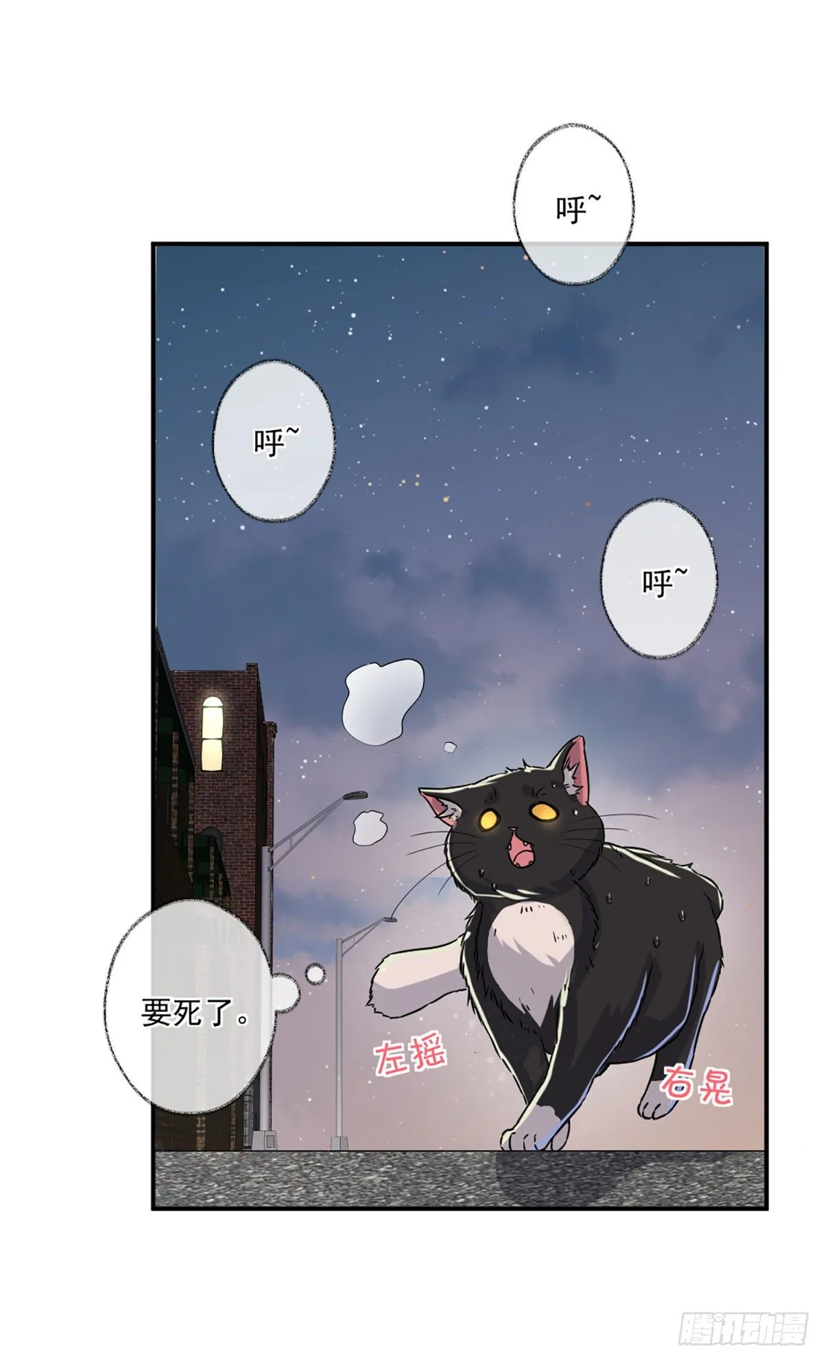 速度与激情喵~ 第7页