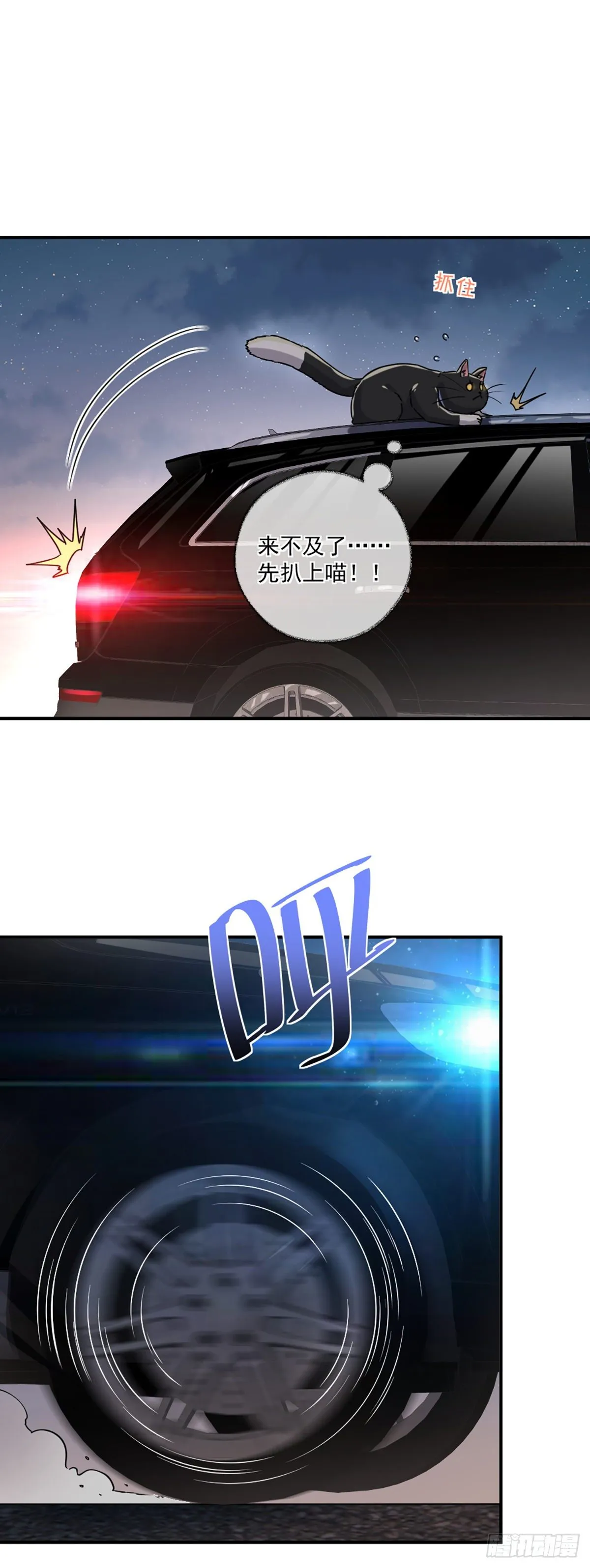 速度与激情喵~ 第10页