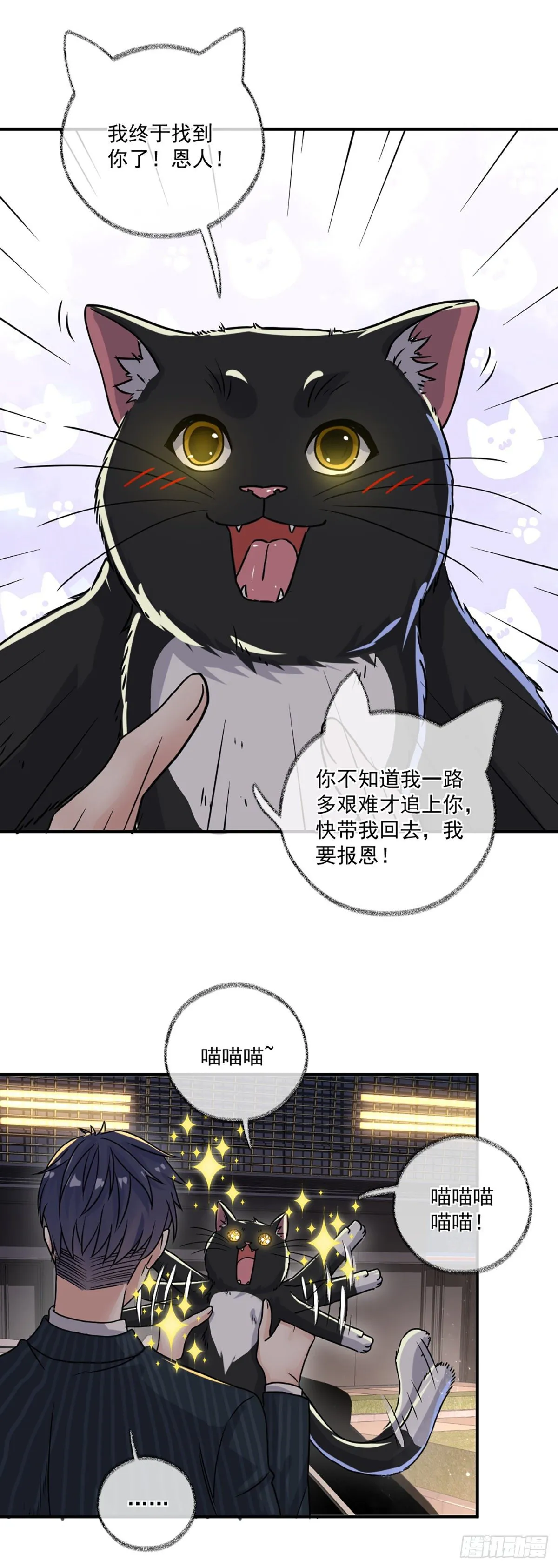 速度与激情喵~ 第19页