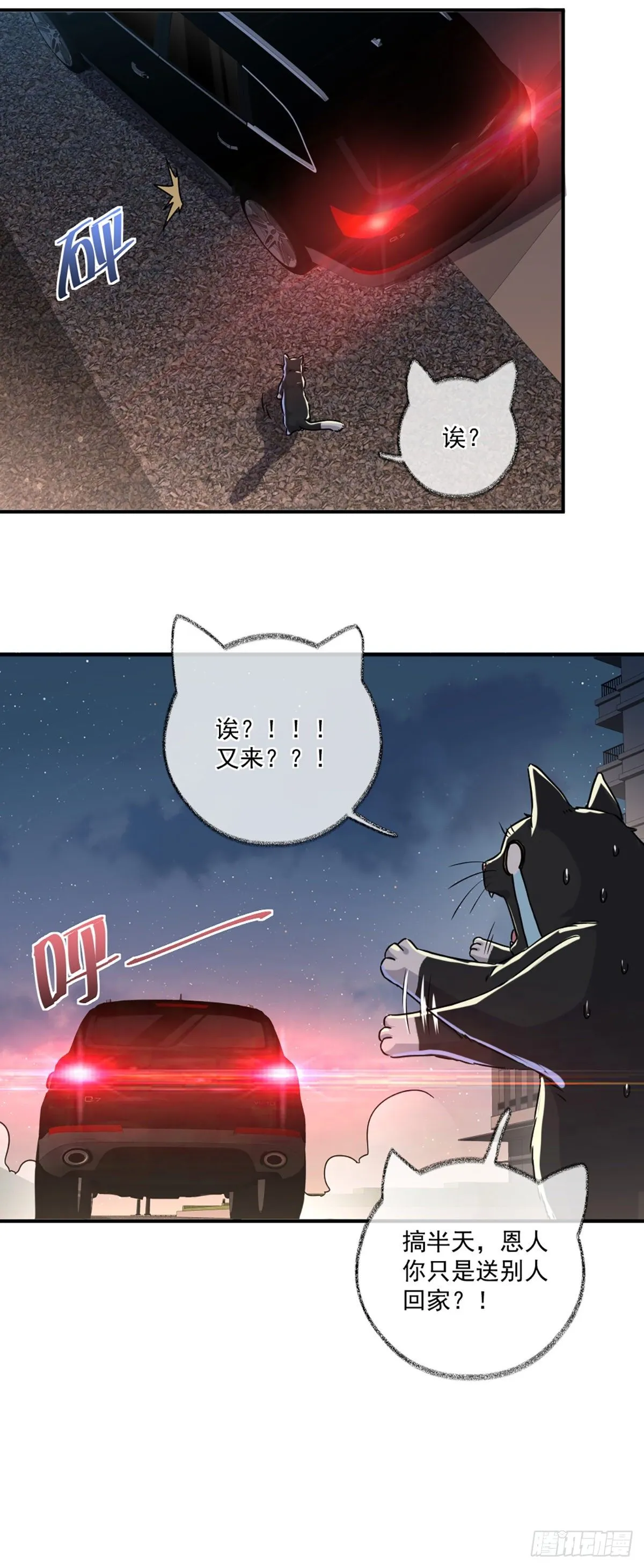 速度与激情喵~ 第21页
