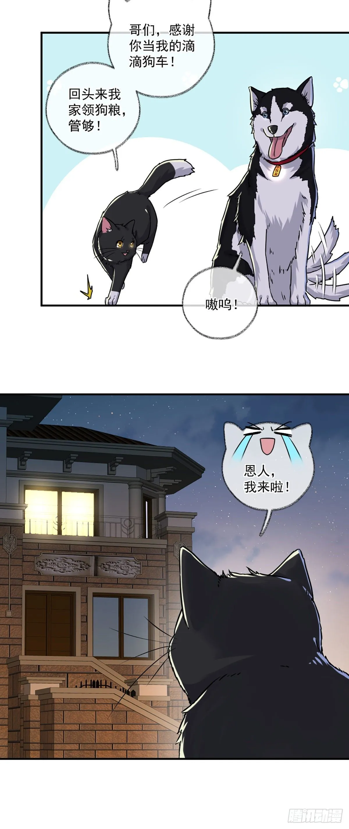 嘀嘀狗车 第11页