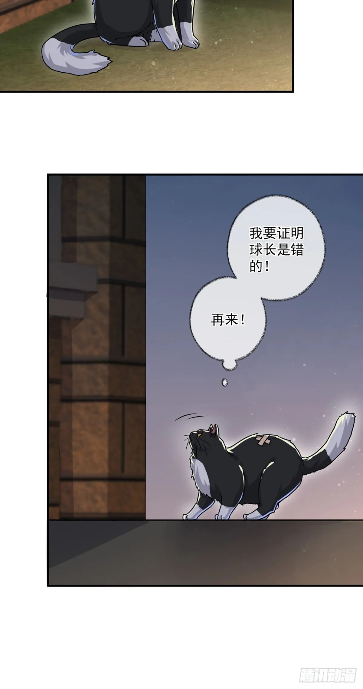 嘀嘀狗车 第16页