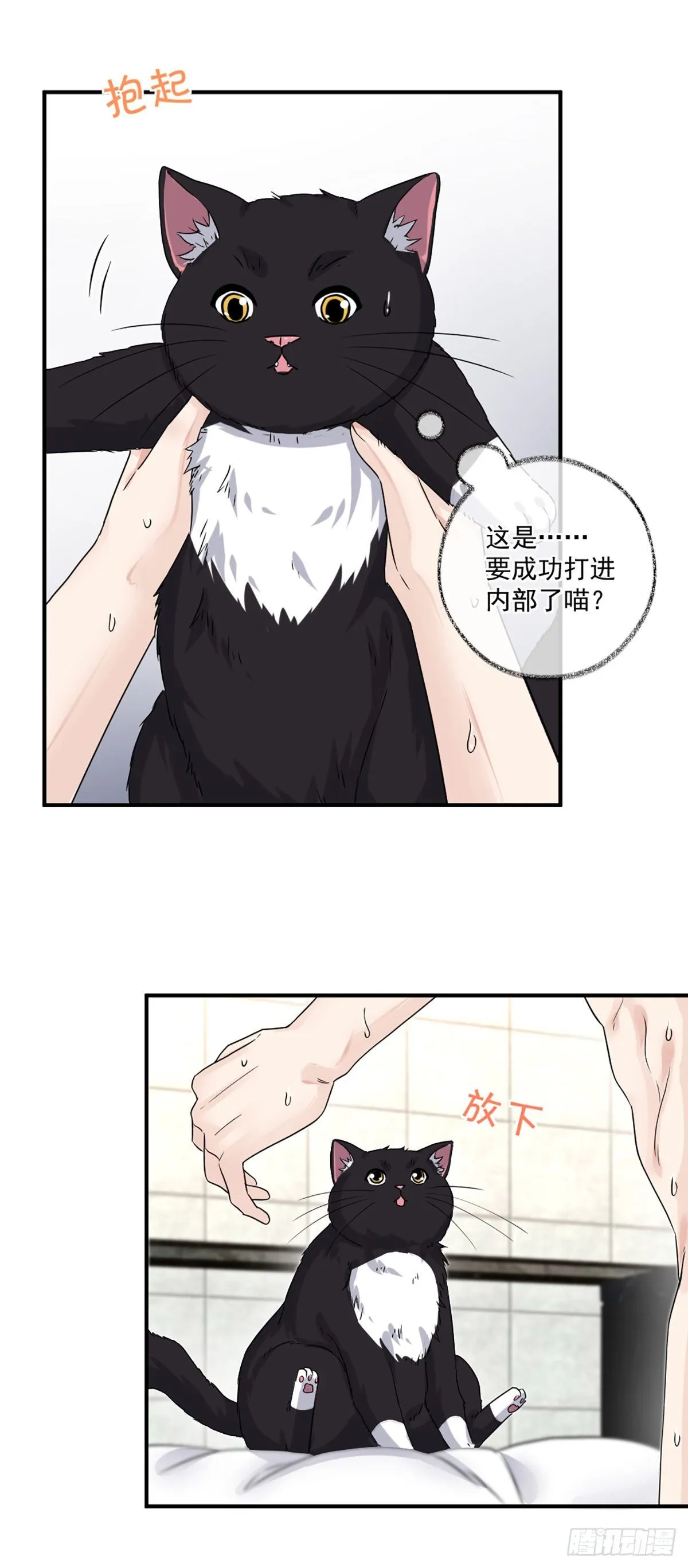 恩人嘴硬心软喵~ 第3页