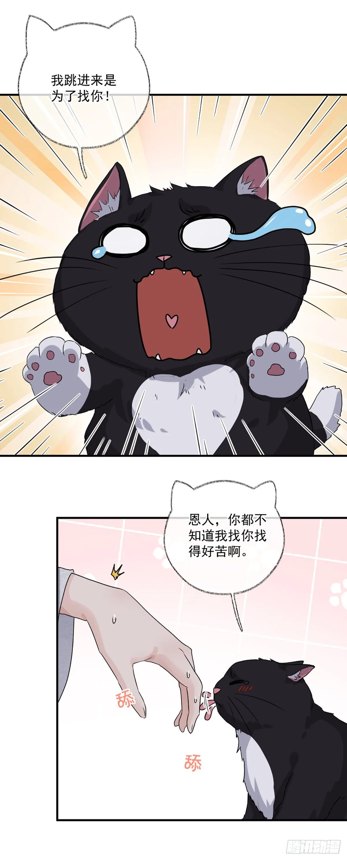 恩人嘴硬心软喵~ 第12页