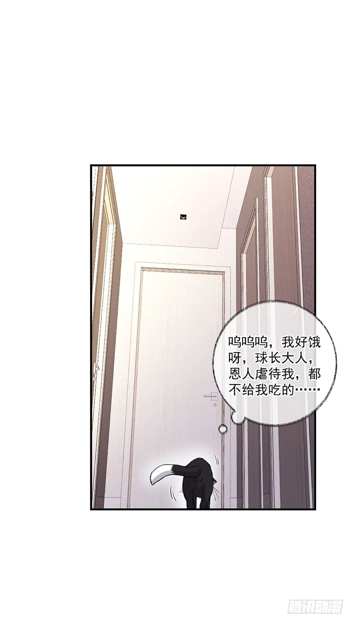 我要吃肉喵~ 第18页