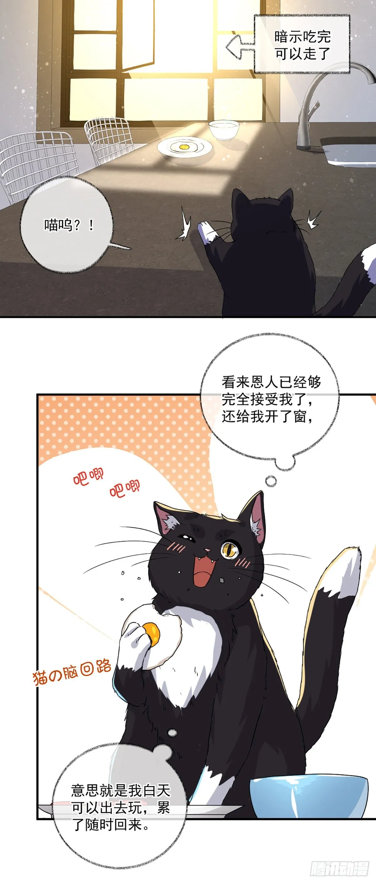 不要赶我走喵~ 第20页
