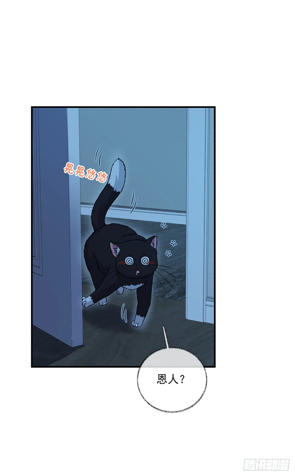 再次相见喵~ 第2页