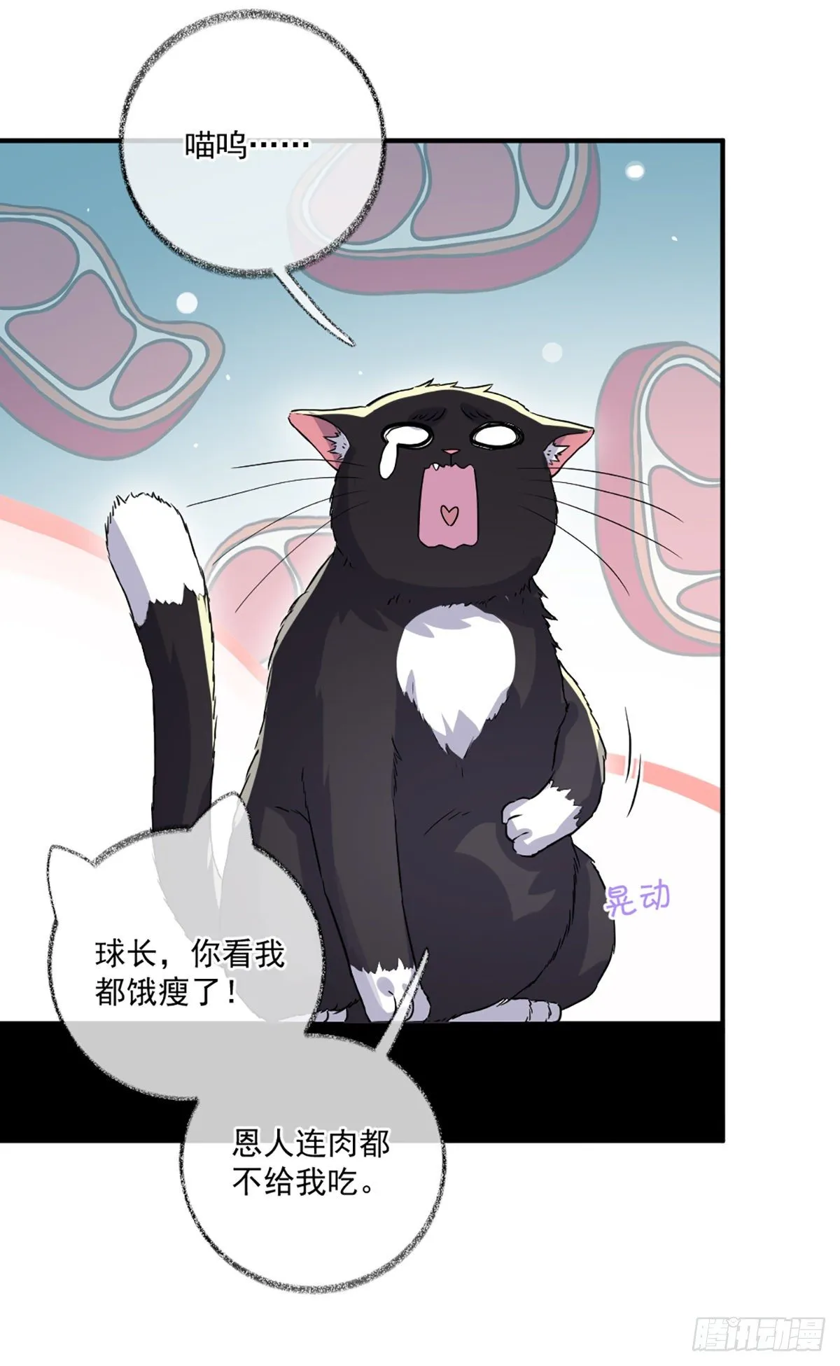 你是这样的恩人喵~ 第4页