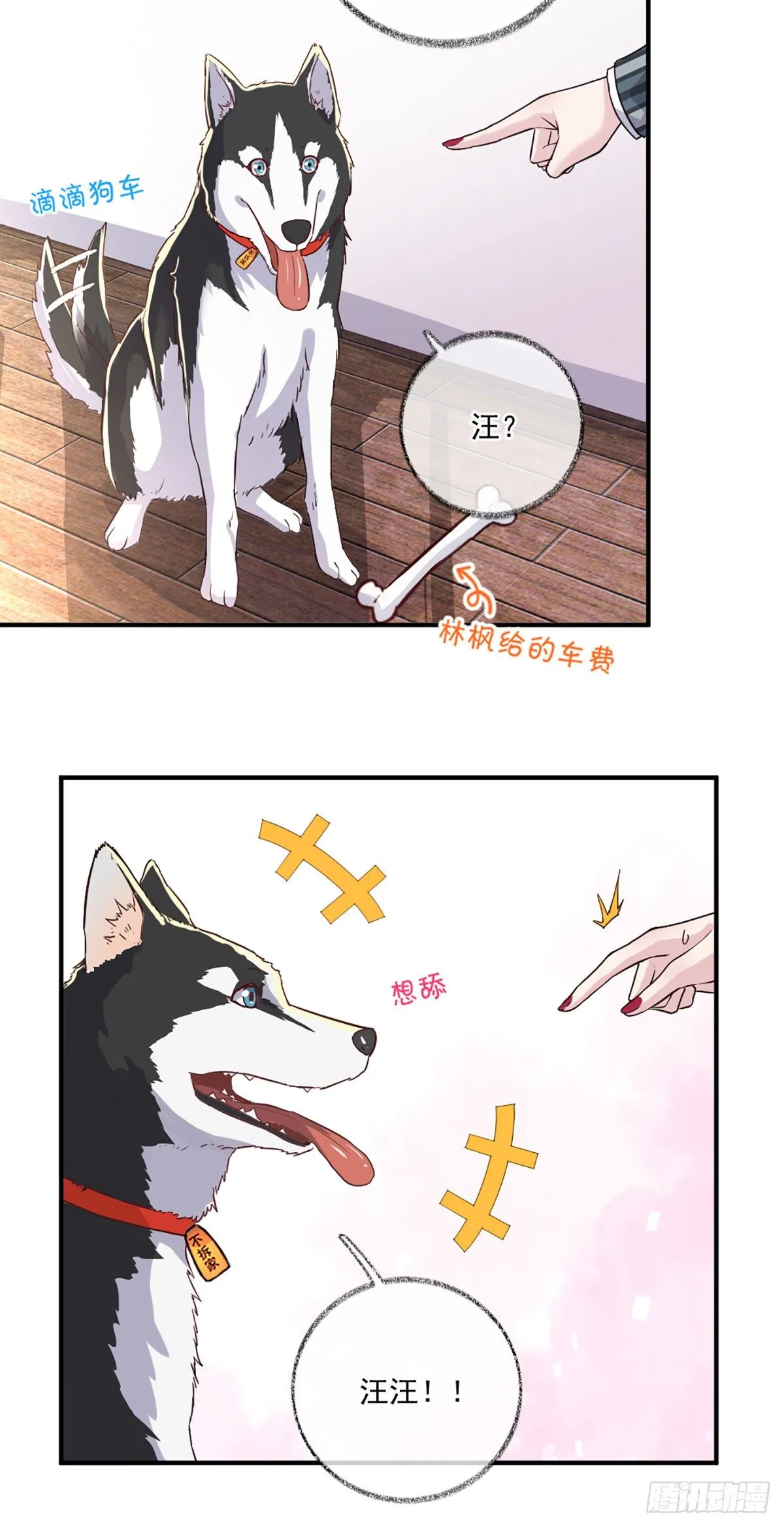 你是这样的恩人喵~ 第6页