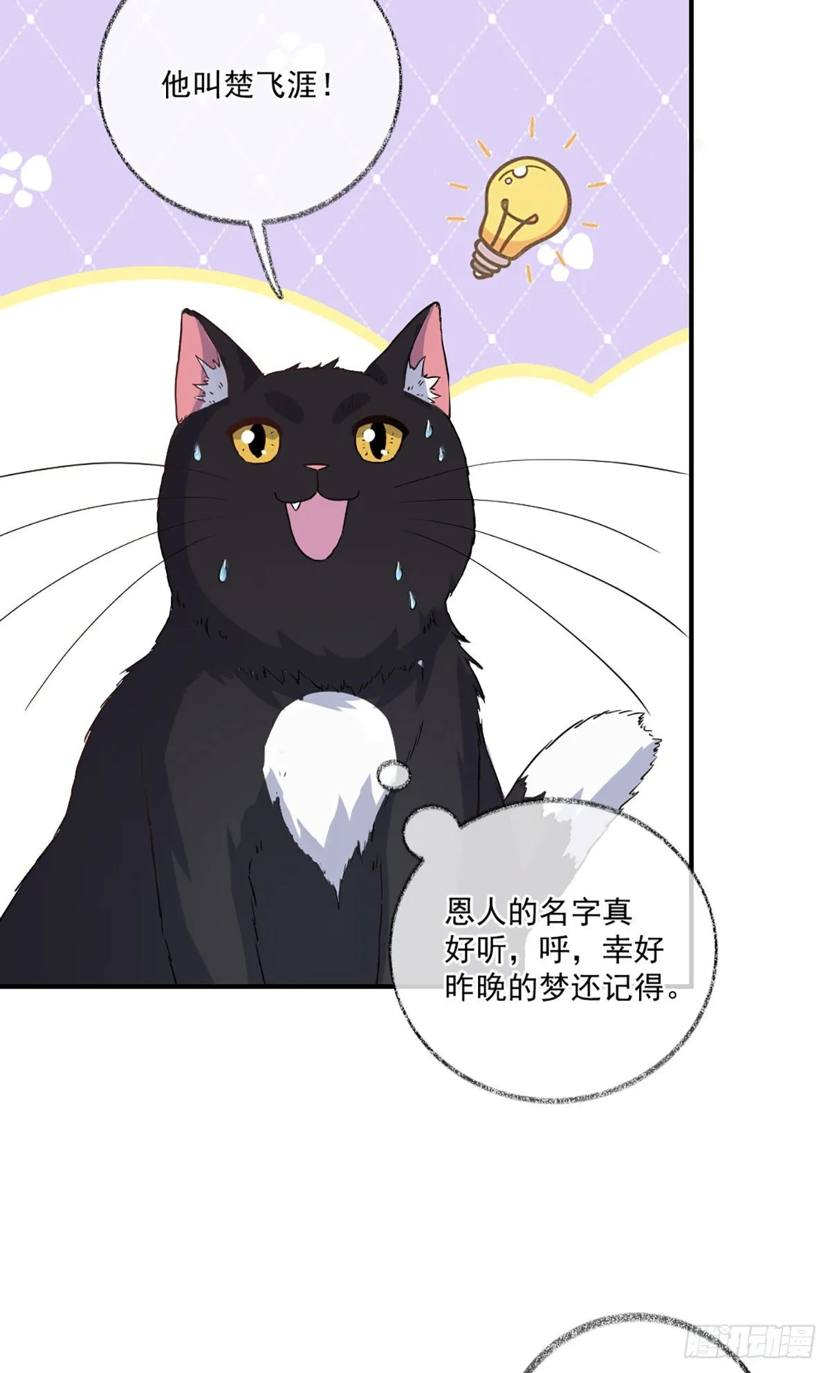 你是这样的恩人喵~ 第10页