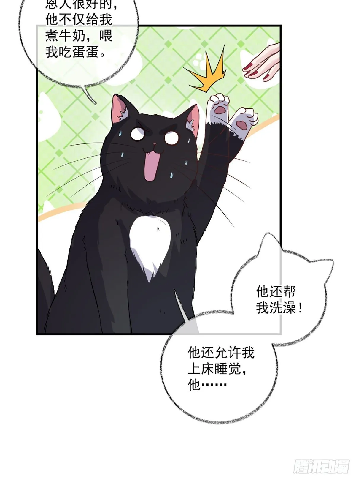 你是这样的恩人喵~ 第13页