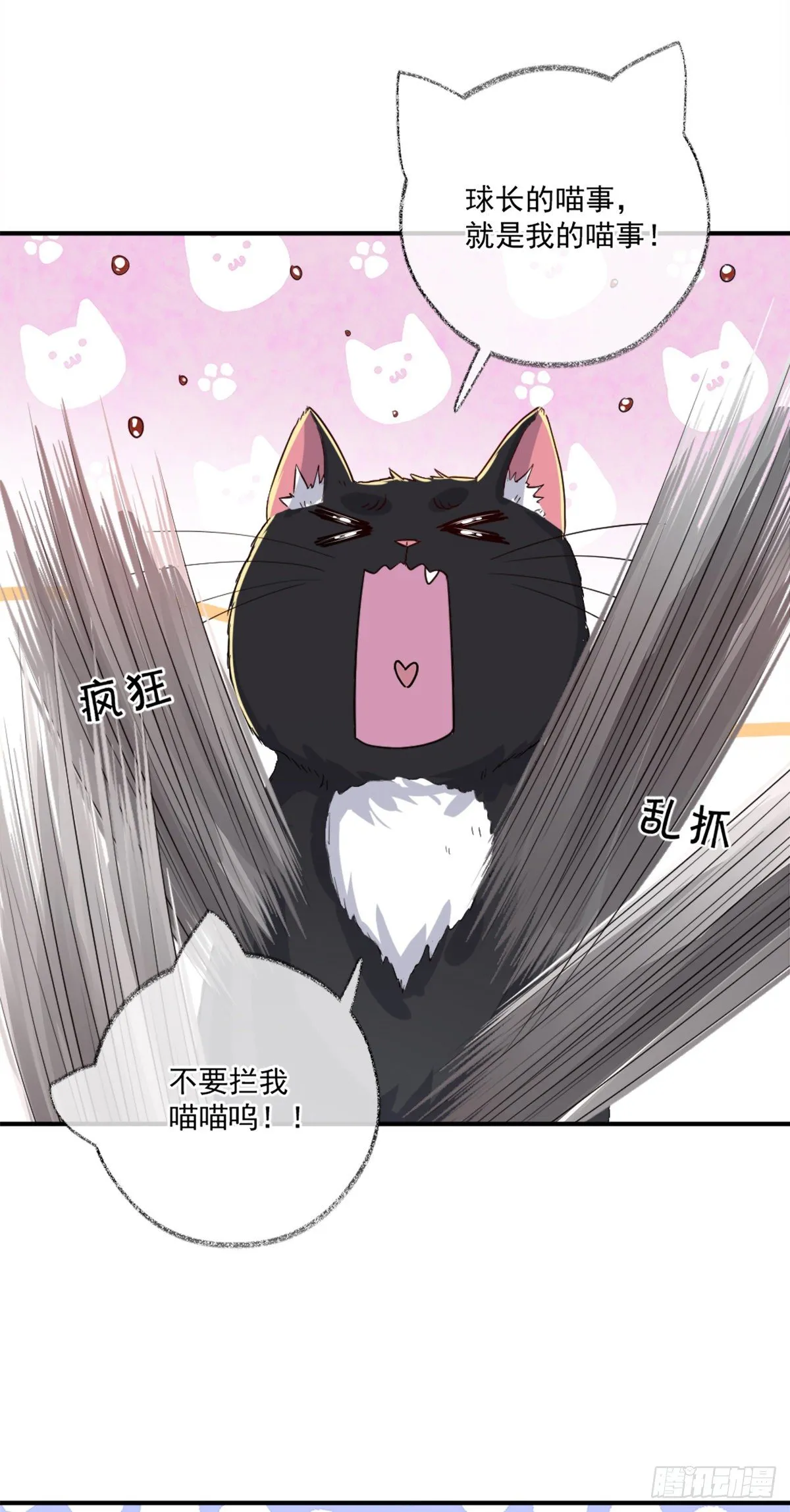 就要和你在一起喵~ 第23页