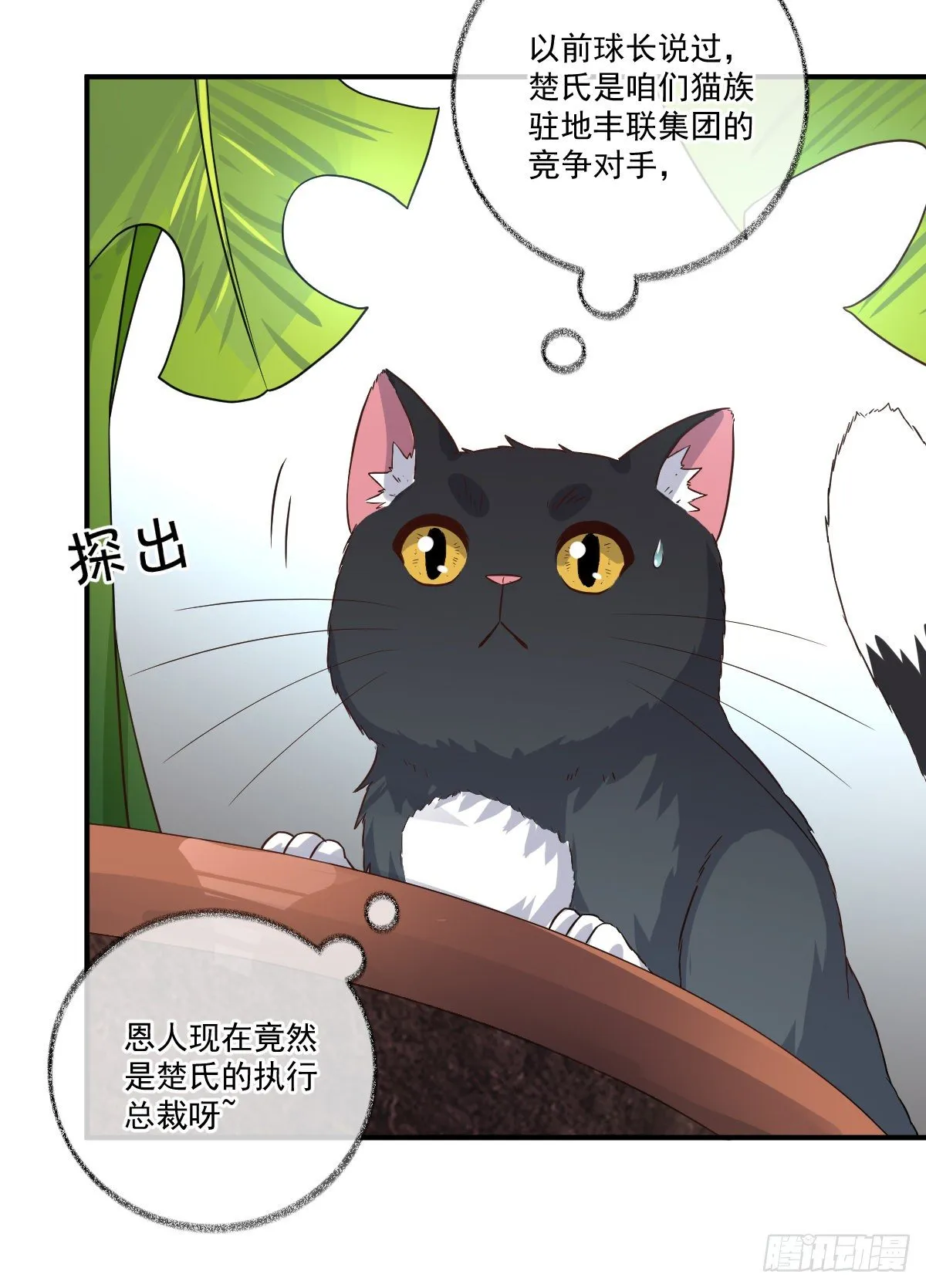 你们抢我先睡喵~ 第14页