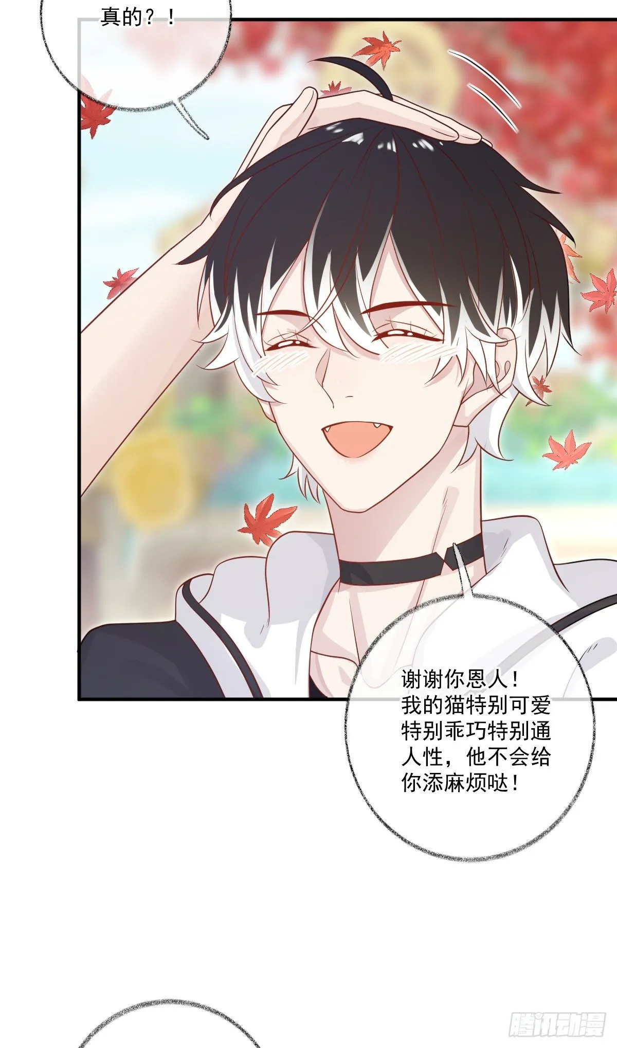 我养你喵~ 第25页