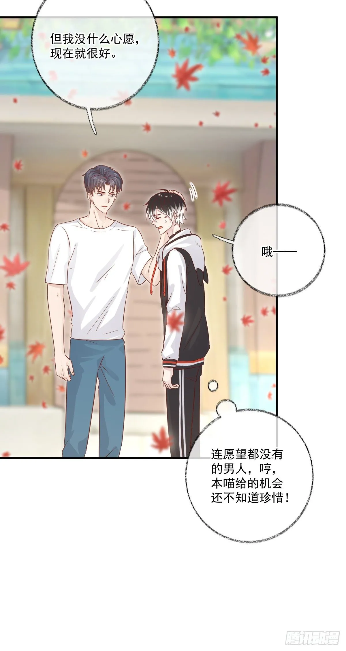 我养你喵~ 第26页