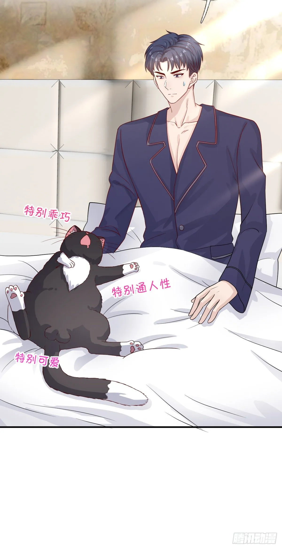 我养你喵~ 第31页