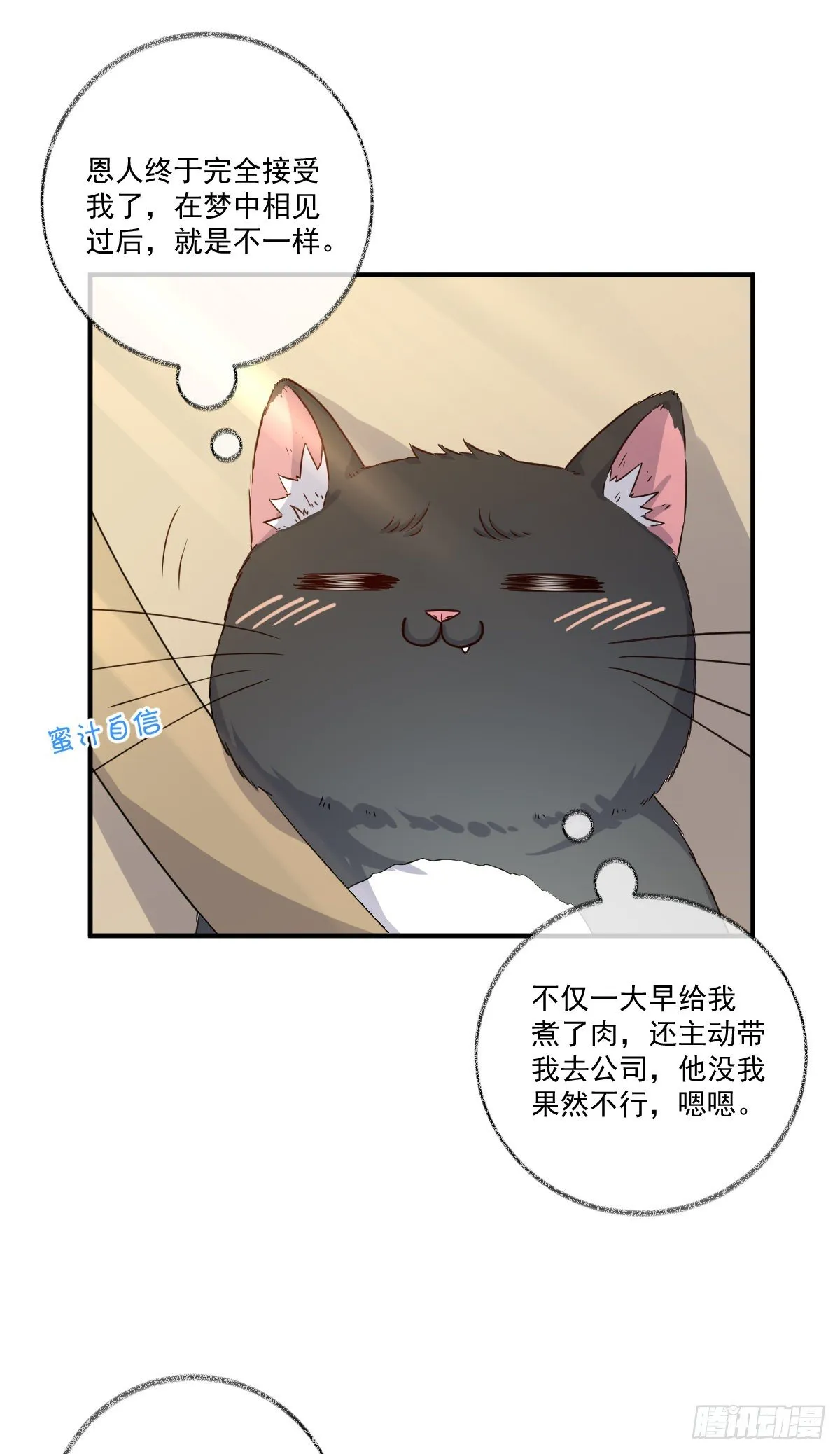 我不绝育喵！ 第4页