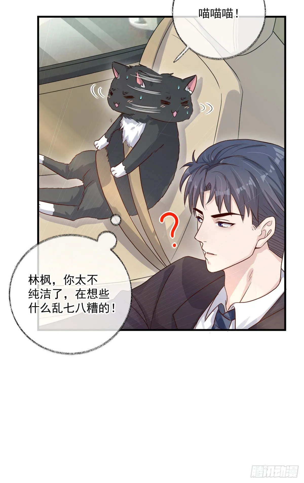 我不绝育喵！ 第7页