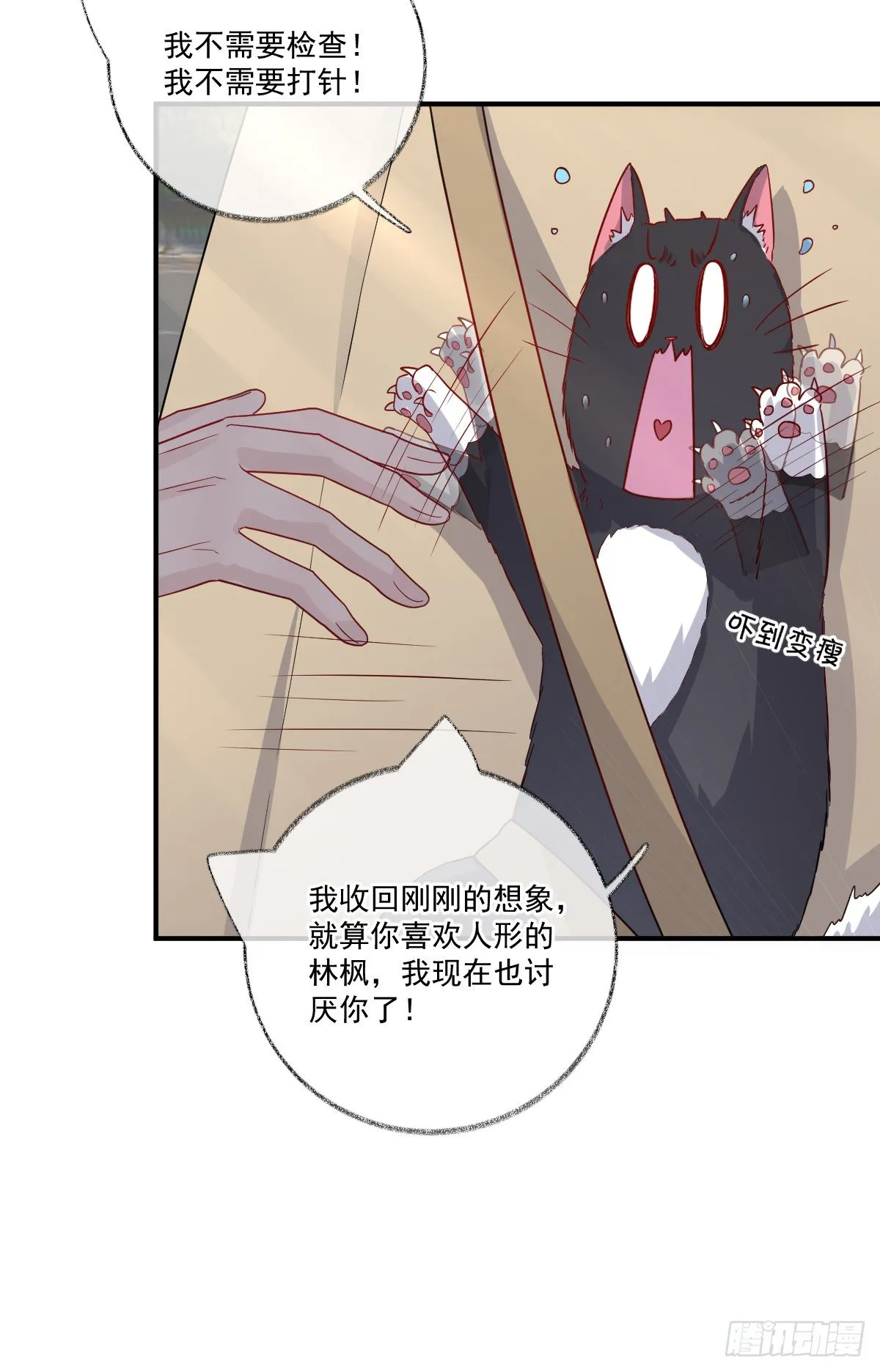 我不绝育喵！ 第11页