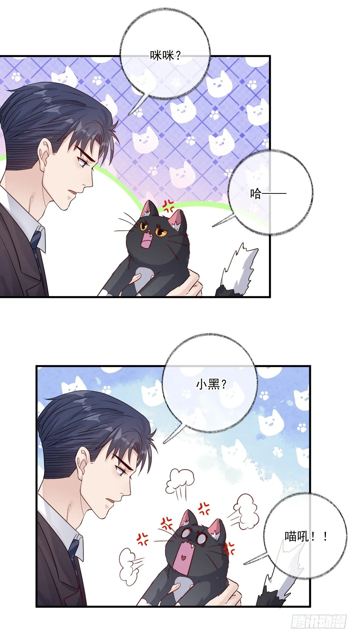 我不绝育喵！ 第14页