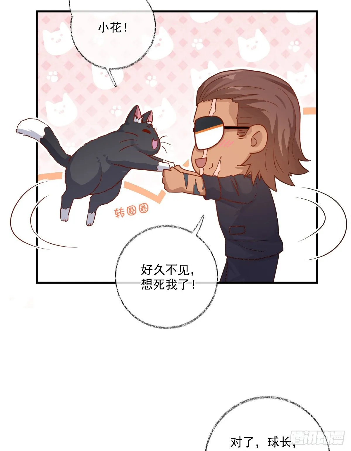 我不绝育喵！ 第33页