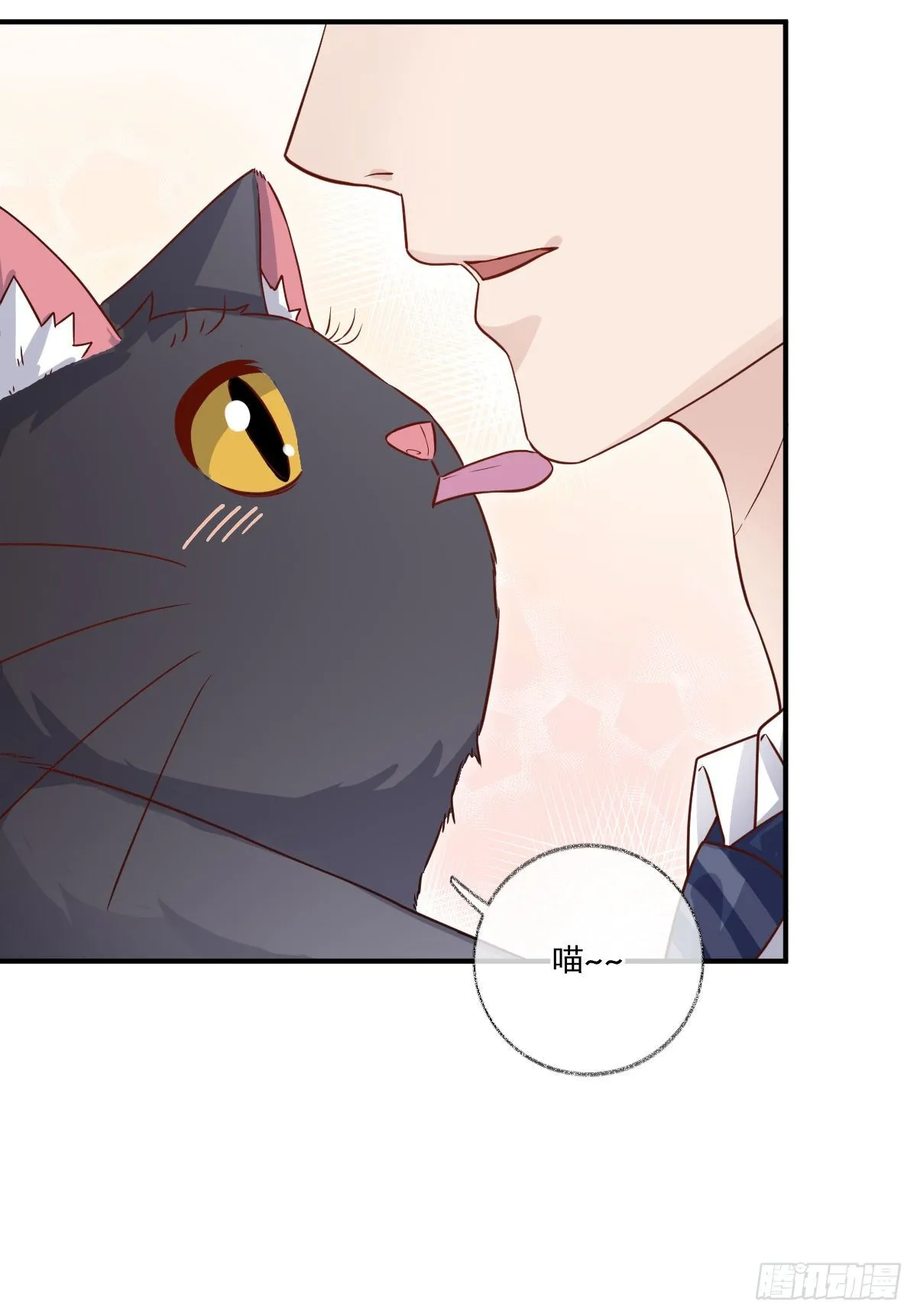 群猫踢馆喵~ 第26页